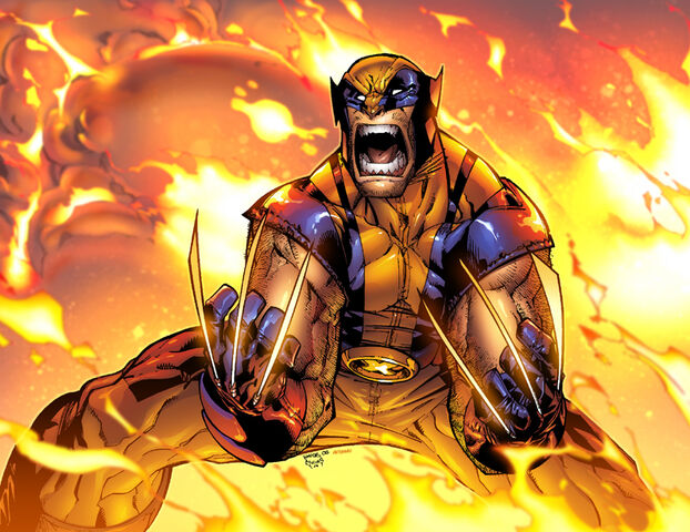 File:Wolverine.jpg