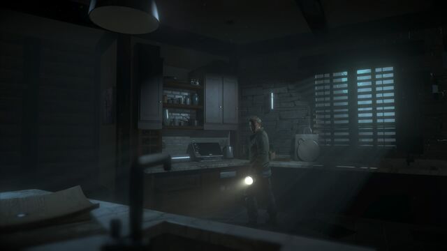File:Until Dawn™ 20150903223550.jpg