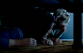 Thumbnail for version as of 18:42, January 15, 2016