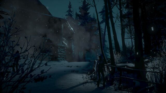 File:Until Dawn™ 20150903202414.jpg
