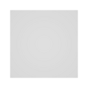 Plate Large Birch
