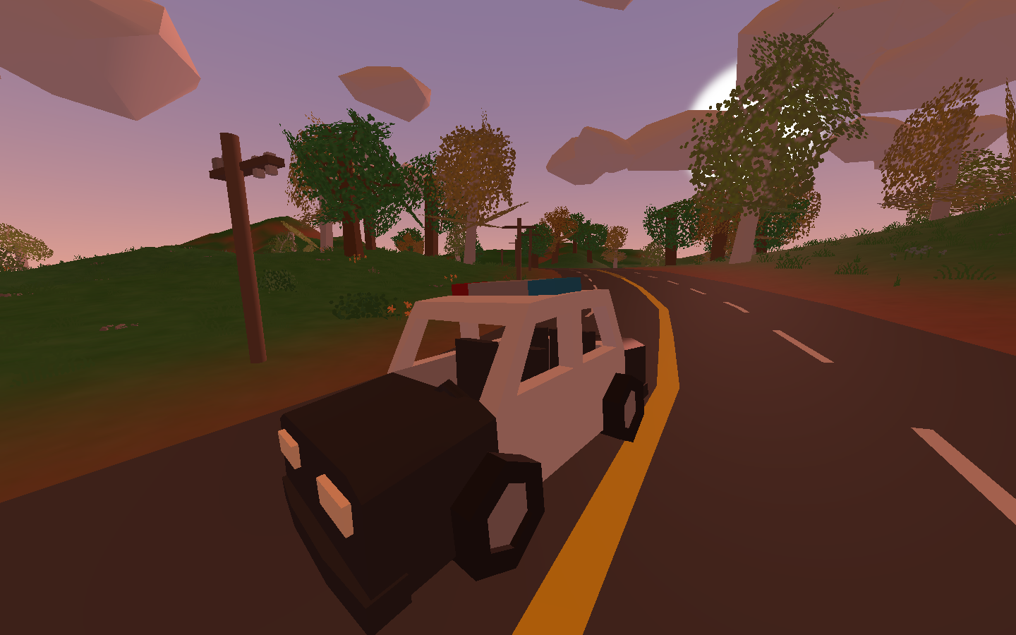 Police Car