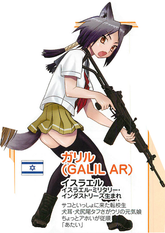 File:Galil AR.png