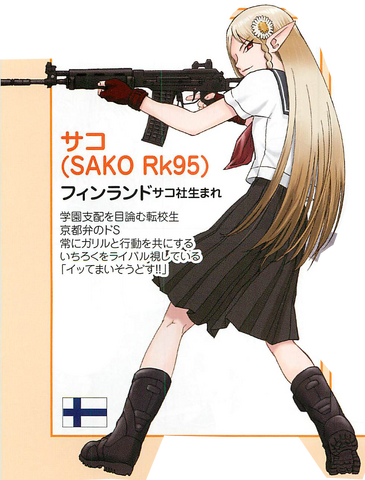 File:SAKO Rk 95 Tp.png