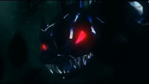 Duras