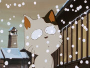 Kotatsuneko