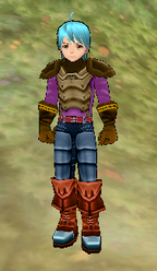 Bless Armor Male