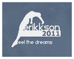 2011 Sim Logo