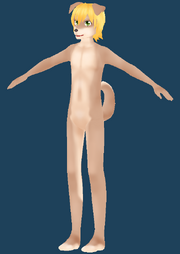 Body markings