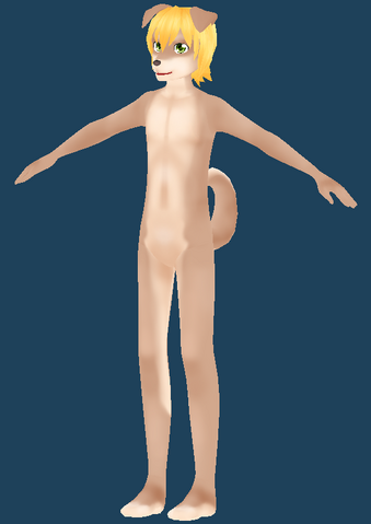 File:Body markings.png