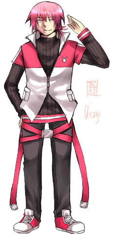 File:Fullbodypic usagi.jpg