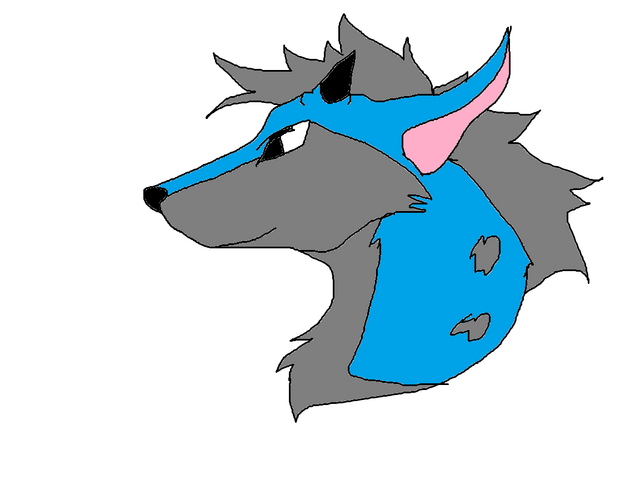 File:Tora.png