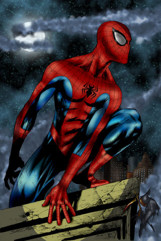File:BatSpider.jpg