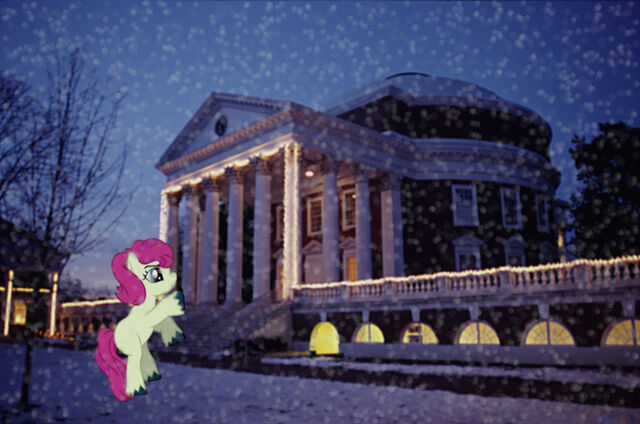File:PONY.jpg