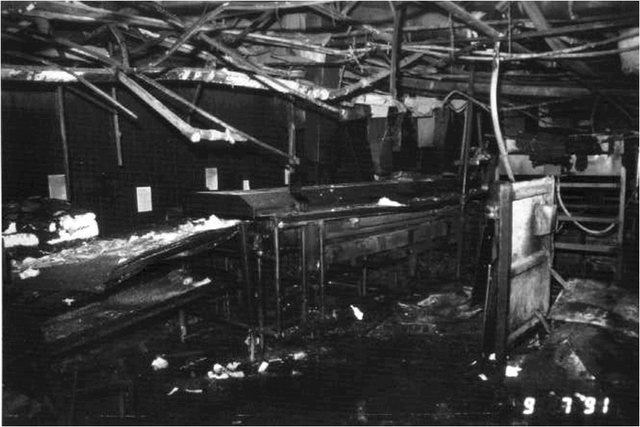 File:Destruction Plant Hamlet.gif