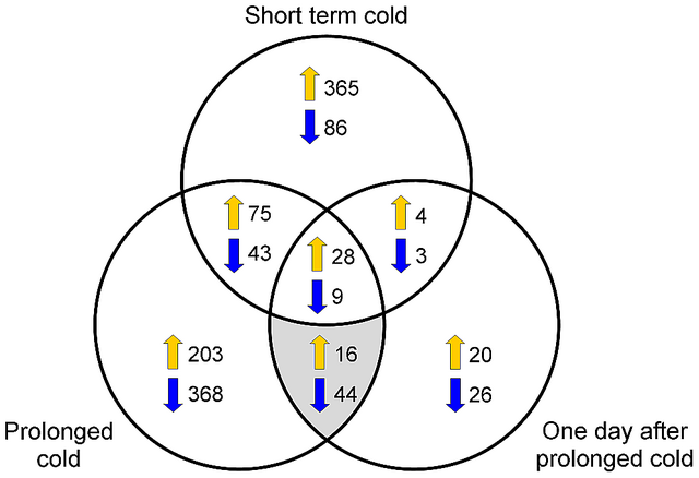 File:Journal.pone.0017900.g003.png
