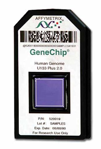 File:GeneChipSilo.jpg