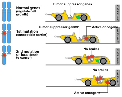 Nci s51 genomics-rew