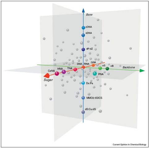 File:XNA fig 2.jpg