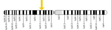 ABCA4 ChromoLocal