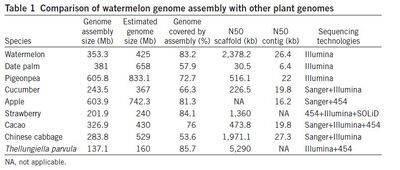 Watermelon genome