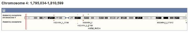 File:FGFR3 chromosome 4 new.jpg