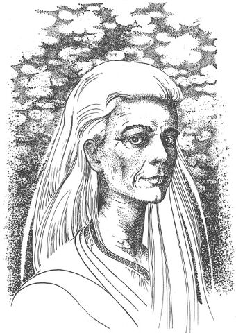 File:SilverVeil.jpg