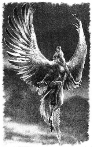 File:Skandranon in flight.jpg