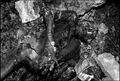 Thumbnail for version as of 03:04, August 19, 2011