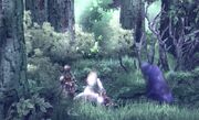 Ancient Forest1