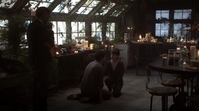 File:Normal TheOriginals202-1349.jpeg