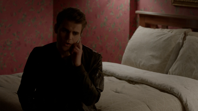 File:721-082-Stefan~Damon.png