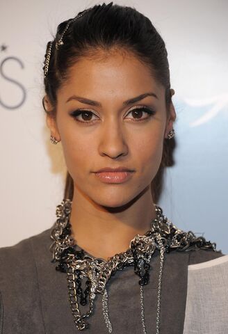 File:Janina-gavankar-large-picture.jpg