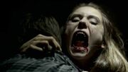 Katherine-2x10-the-vampire-diaries-17443641-1024-578