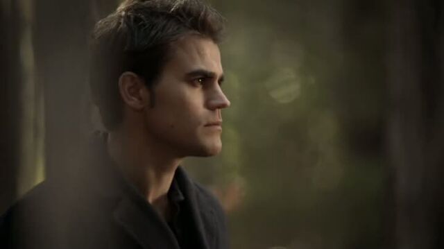 File:6X13-49-Stefan.jpg