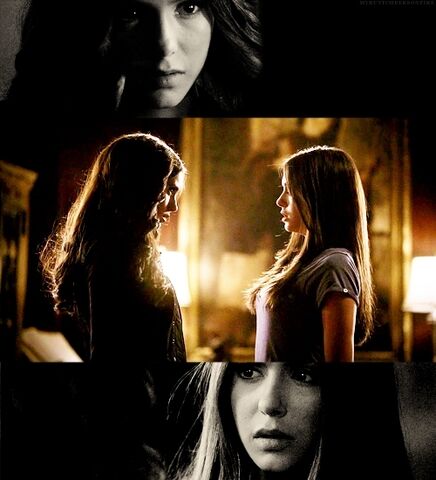 File:Katherine-and-elena-katherine-pierce-and-elena-gilbert-16048582-500-5503.jpg