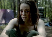 Paigehybrid
