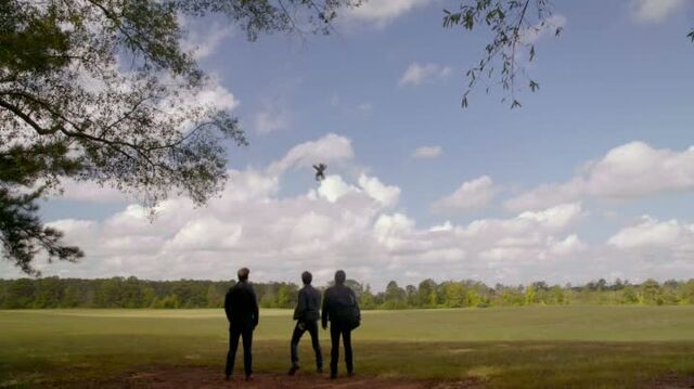 File:6X08-33-StefanDamonAlaric.jpg