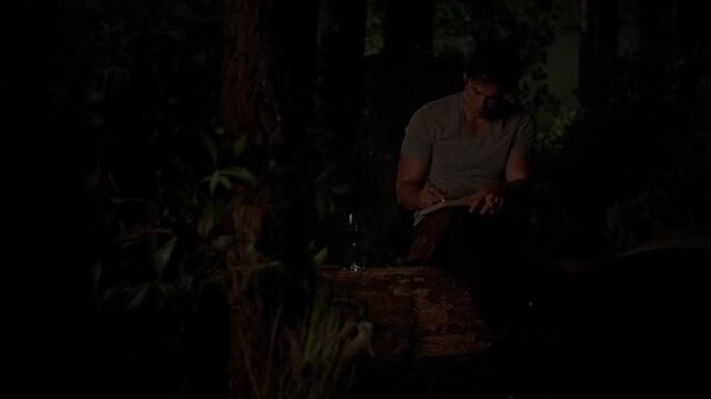 File:7X04-119-Damon.jpg