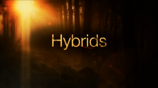 File:Hybrids03.png