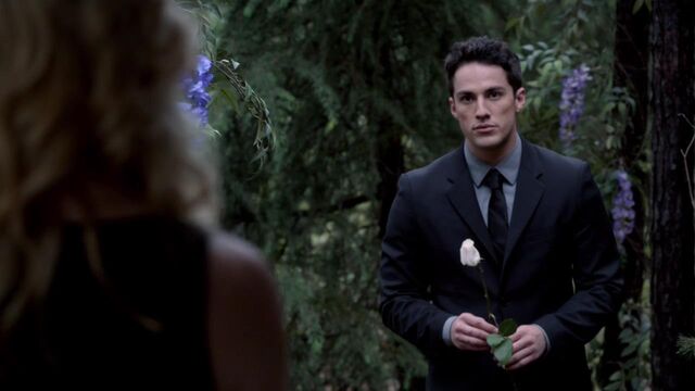 File:TVD 1603.jpg