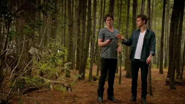 File:7X02-77-StefanDamon.jpg