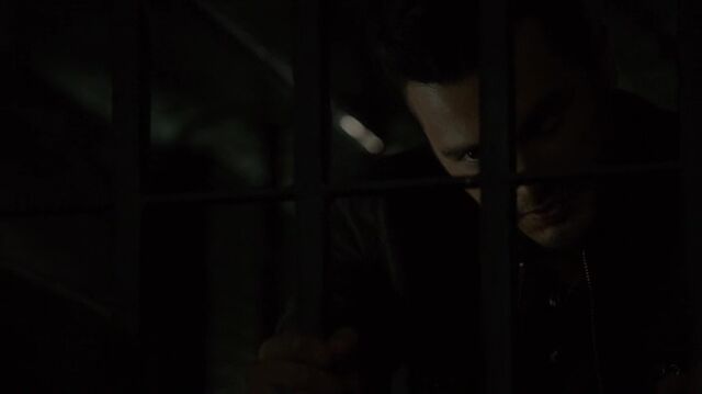File:7X08-96-Enzo.jpg