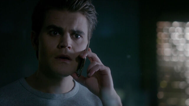 File:713-059-Stefan.jpg