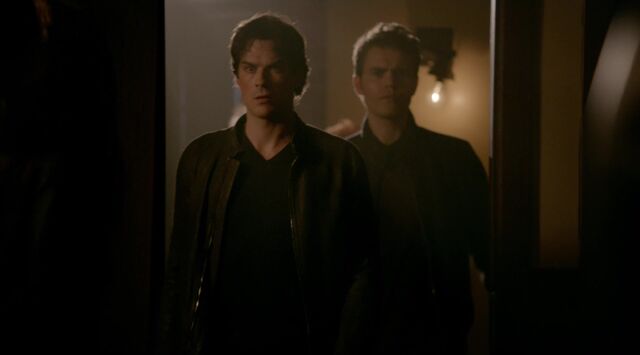 File:711-031-Stefan-Damon.jpg