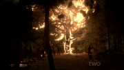 OakTreeBurn.png
