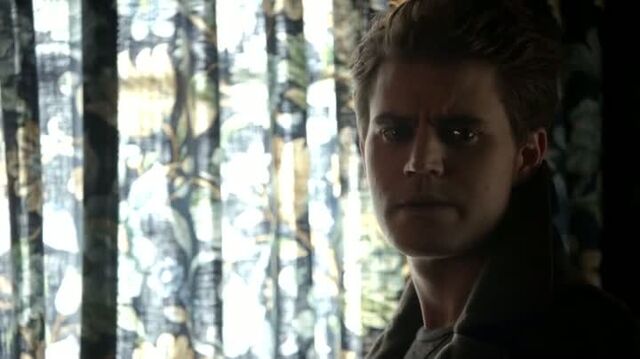 File:6X12-9-Stefan.jpg