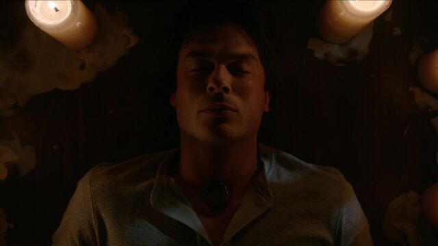 File:710-065-Damon.jpg