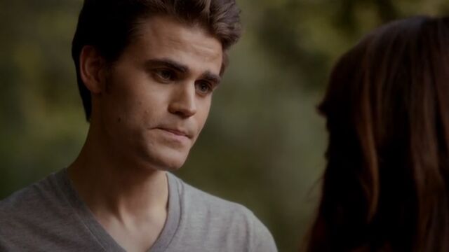 File:Stefan 21 TVD 5x04.jpg