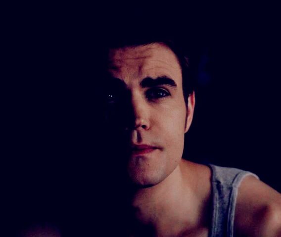 File:Stefan 5x7...jpg
